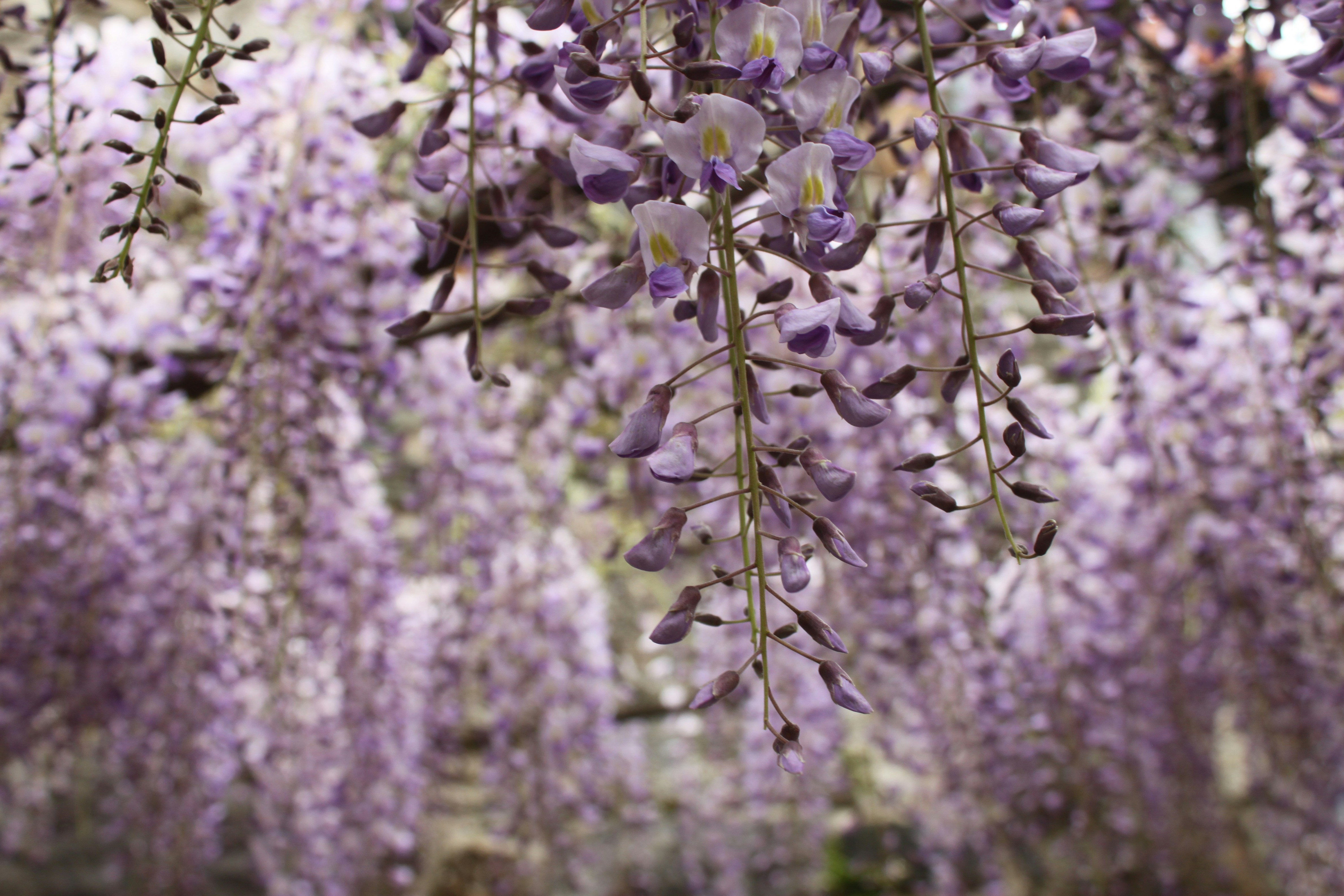 Photo by miguelbaixauli