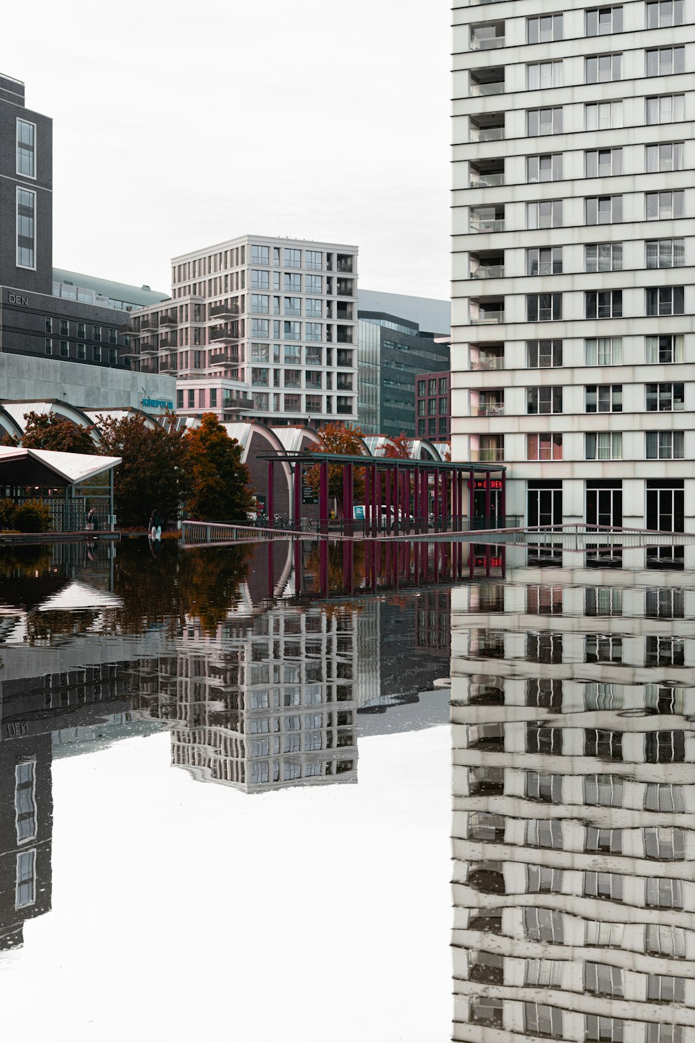 a large body of water surrounded by tall buildings