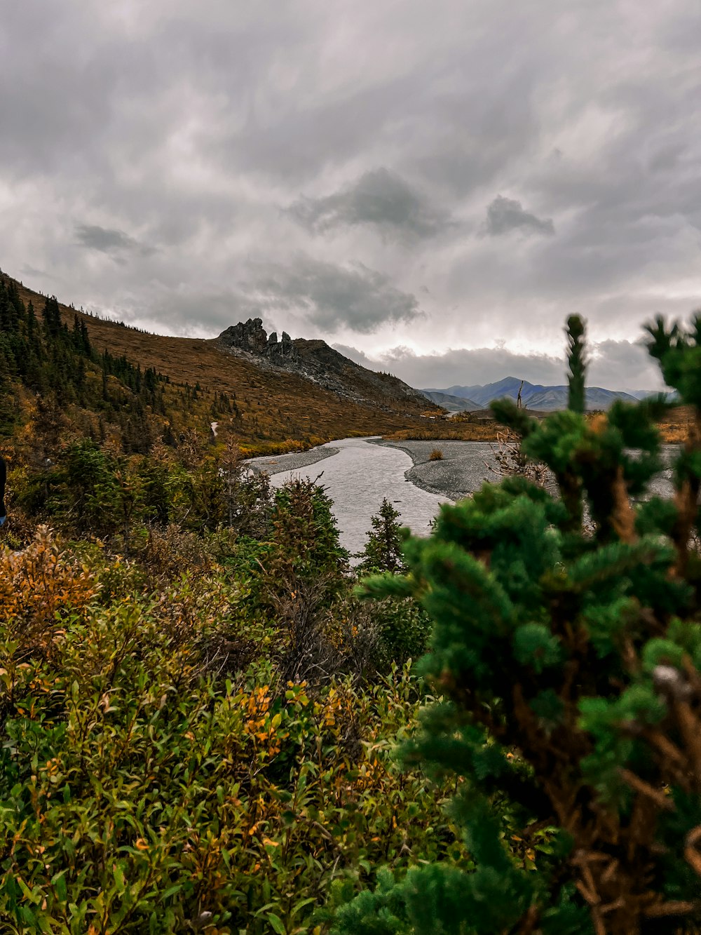 a couple of people standing on top of a lush green hillside