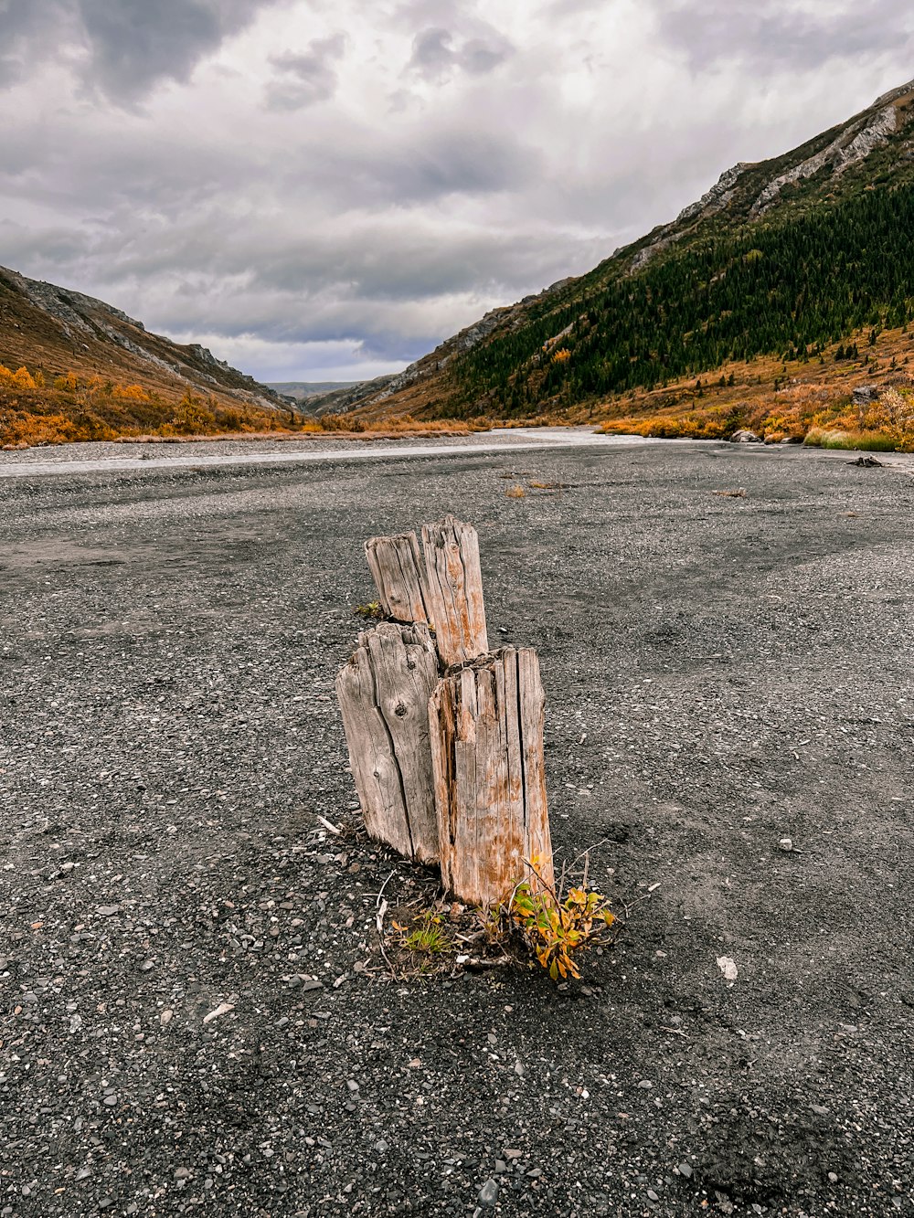 a piece of wood sitting in the middle of a field