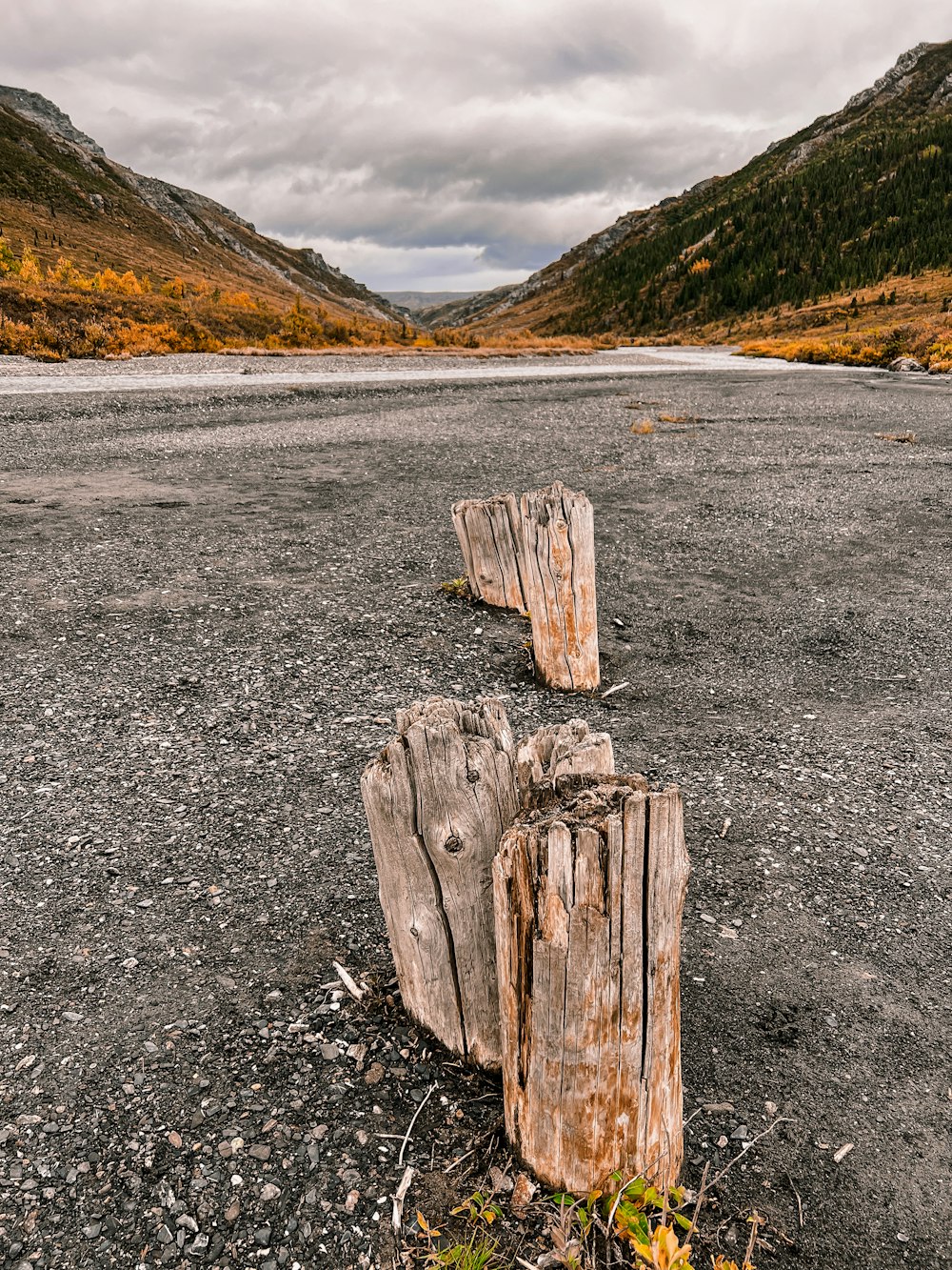 a couple of wooden logs sitting on top of a dirt field