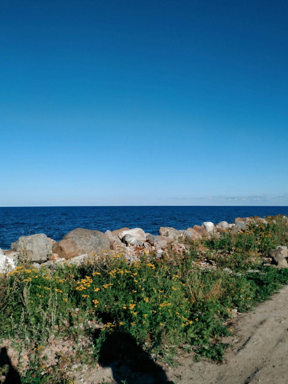 a view of the ocean from a rocky shore