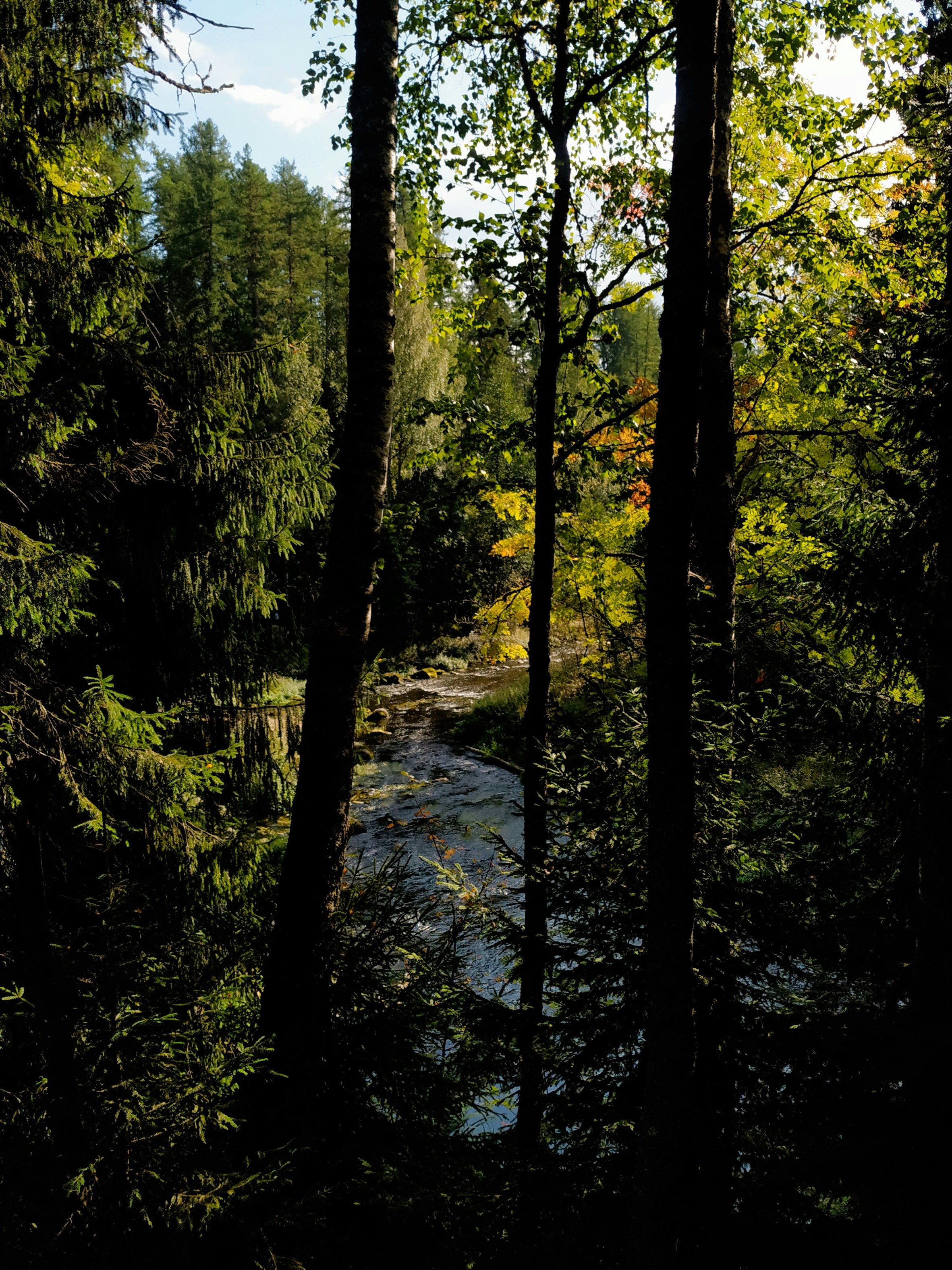 Photo by tatyanagorobtsova