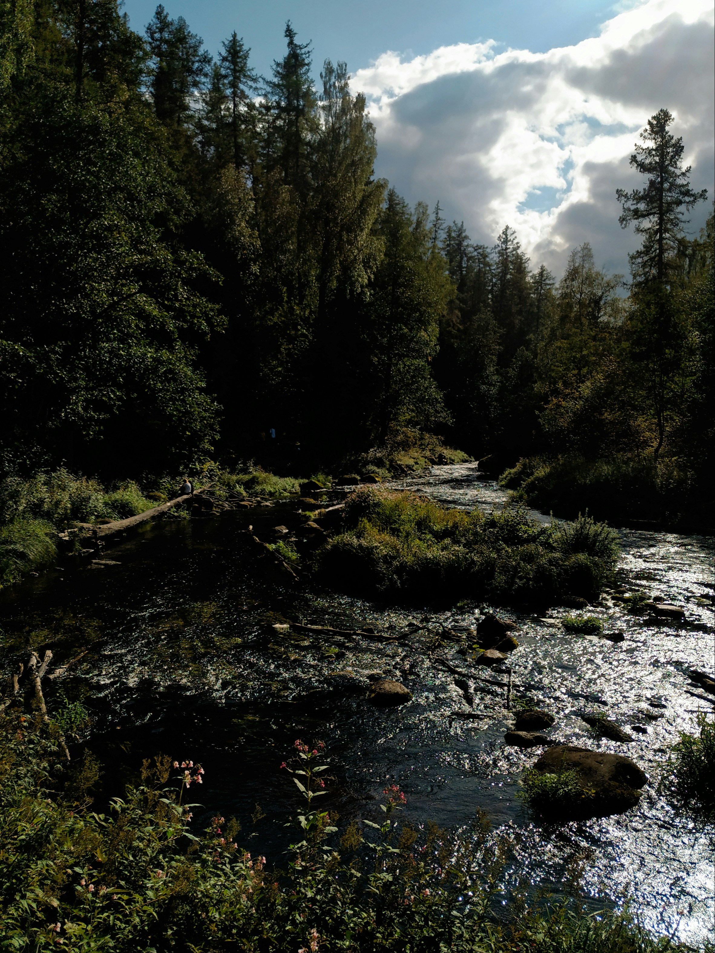 Photo by tatyanagorobtsova