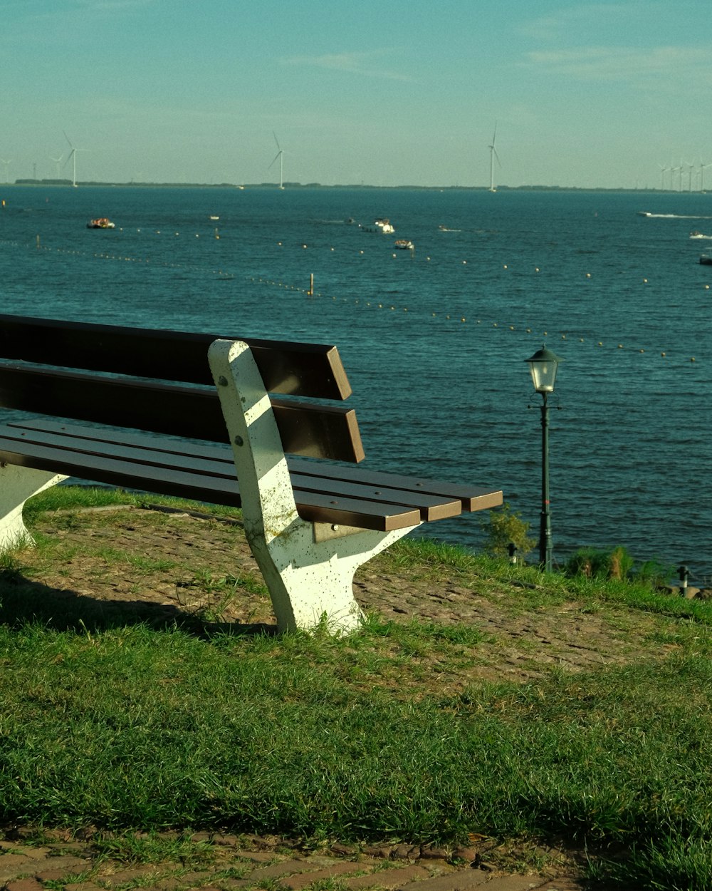 a park bench overlooking a body of water