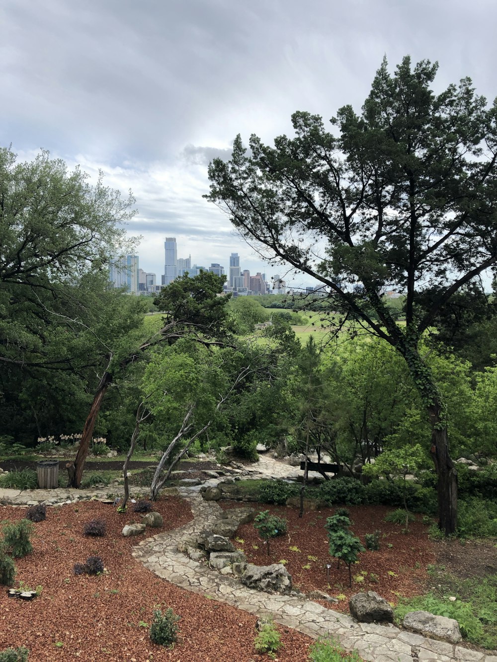 a view of a city from a park