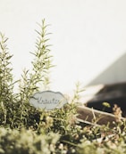 Woman tending to herbs in a German mid-sized family garden with subtle green and grey steel accessories