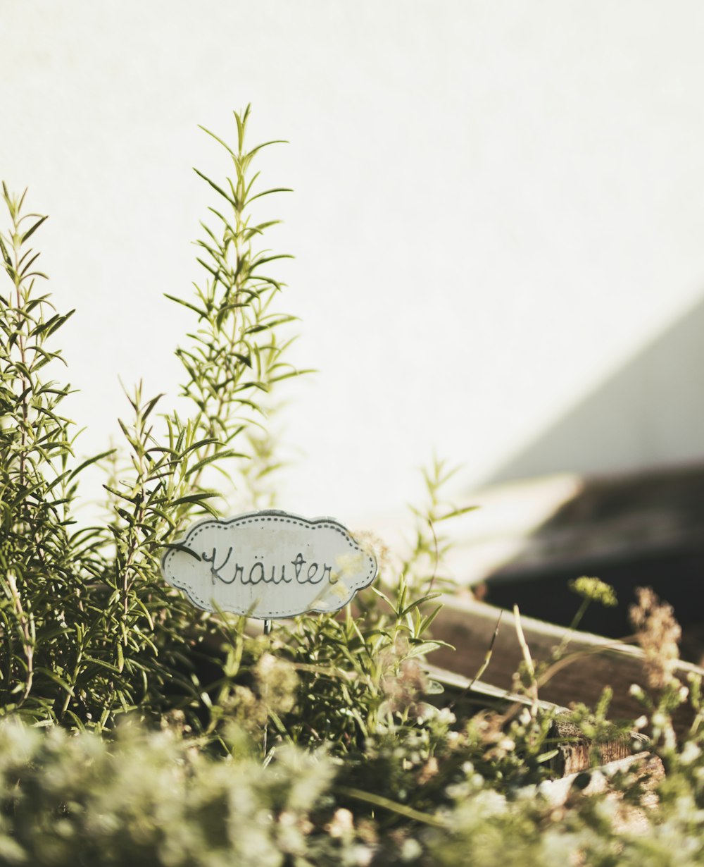 a sign that is sitting in the grass