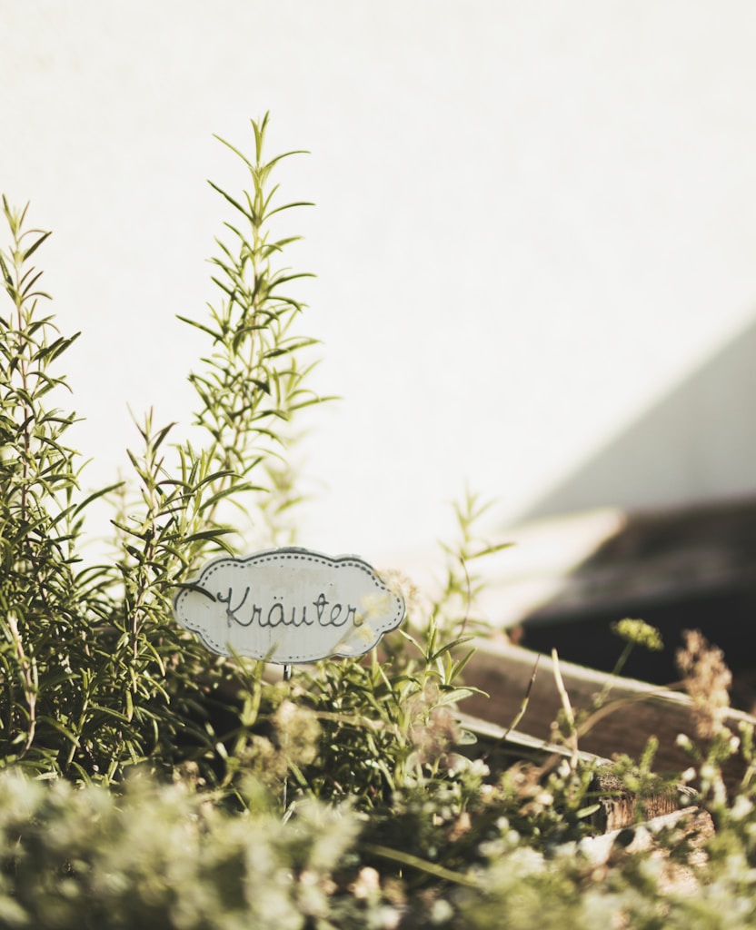 Kitchen Garden Planner
