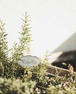 A close-up view of a herb garden with a handwritten sign labeled 'Kräuter' among the greenery. The scene is bathed in warm sunlight, casting soft shadows and creating a serene atmosphere.