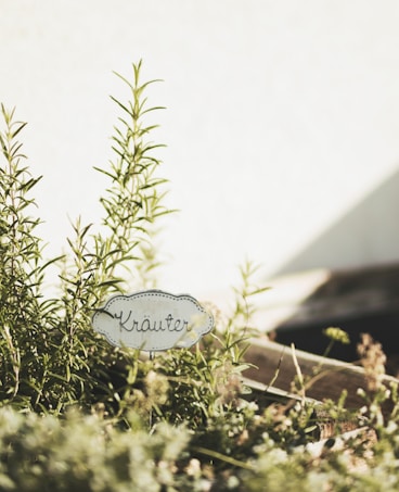 A close-up view of a herb garden with a handwritten sign labeled 'Kr&auml;uter' among the greenery. The scene is bathed in warm sunlight, casting soft shadows and creating a serene atmosphere.
