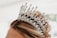 A close-up view of an ornate, silver tiara adorned with numerous shimmering gemstones, positioned on light brown hair styled in an elegant updo.
