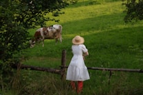 A person wearing a white dress and straw hat stands by a wooden fence, gazing at a brown and white cow grazing in a lush, green field. The scene is set in a rural environment with trees in the background.