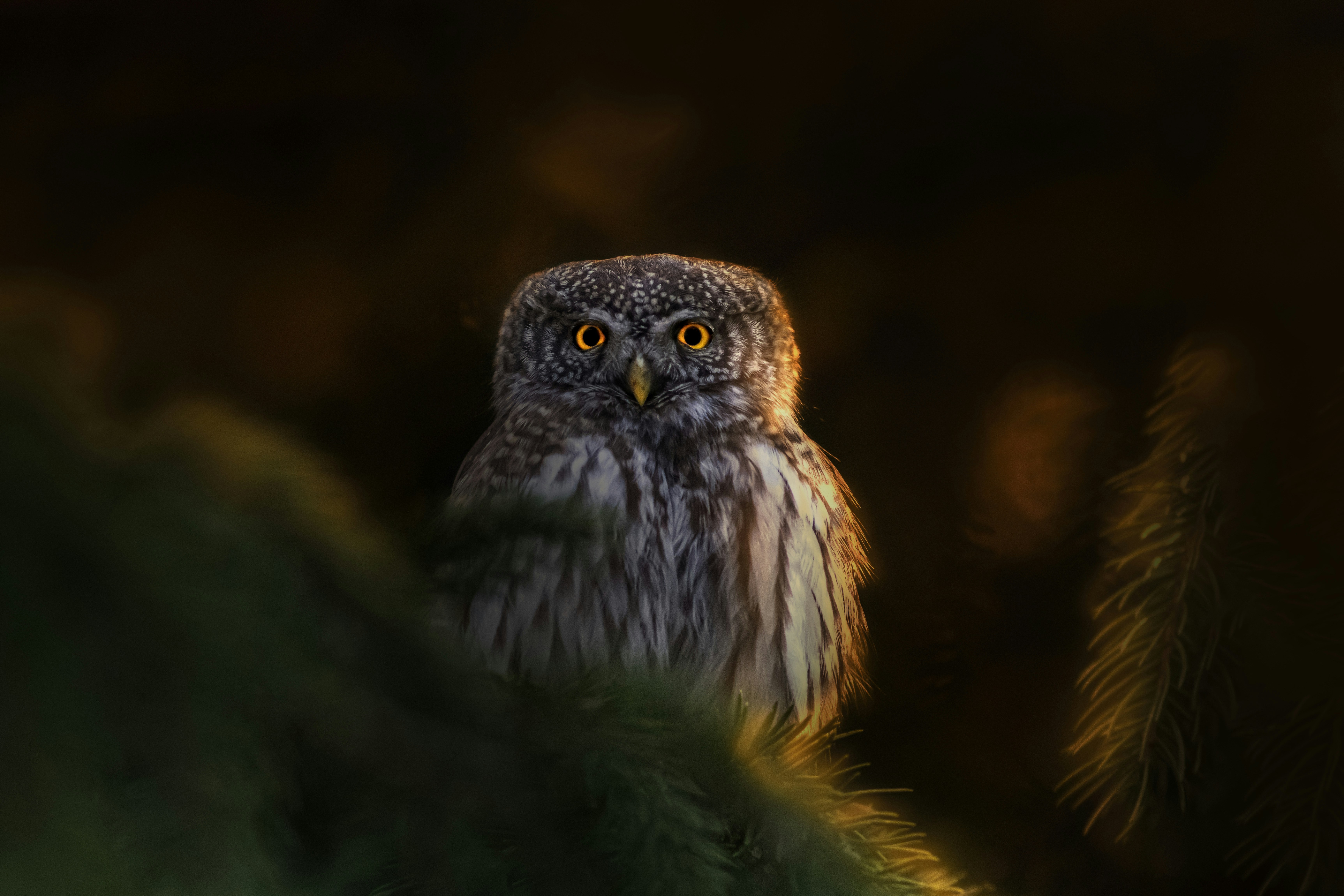 Photo by erik_karits