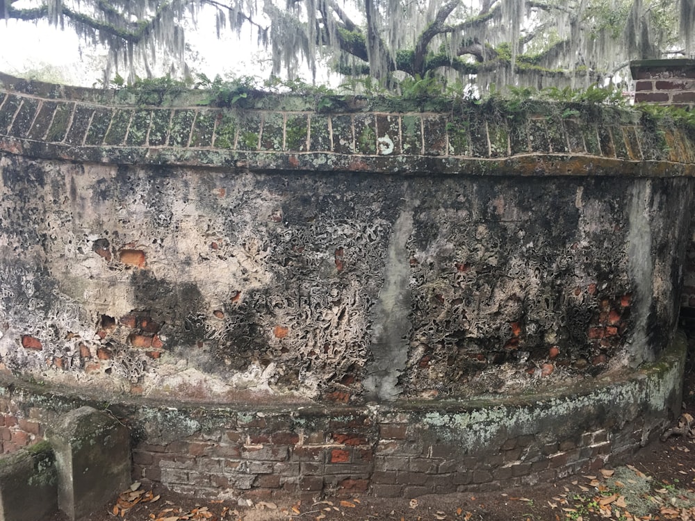 an old brick wall with moss growing on it