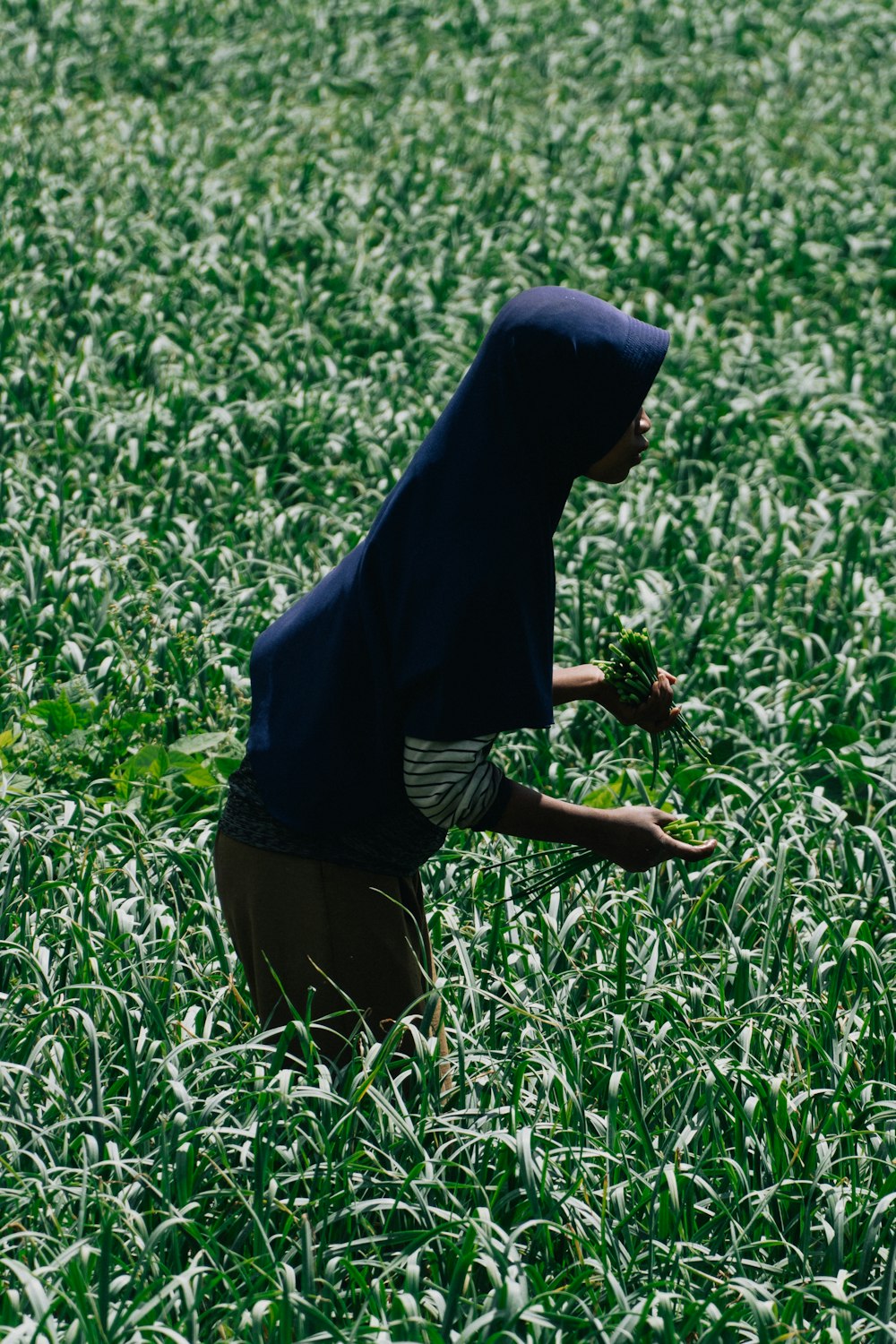 a person in a blue hoodie in a field of green grass