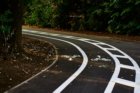 a curved road with a bicycle lane painted on it