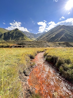 a small stream running through a lush green field