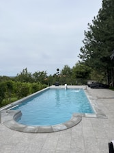 A rectangular swimming pool with clear blue water is surrounded by a tiled patio. Tall pine trees line the right side, providing a natural, lush backdrop. The pool has a step entry, and railings are present on the left side. In the distance, a variety of trees and shrubs add to the greenery, creating a serene and secluded atmosphere.