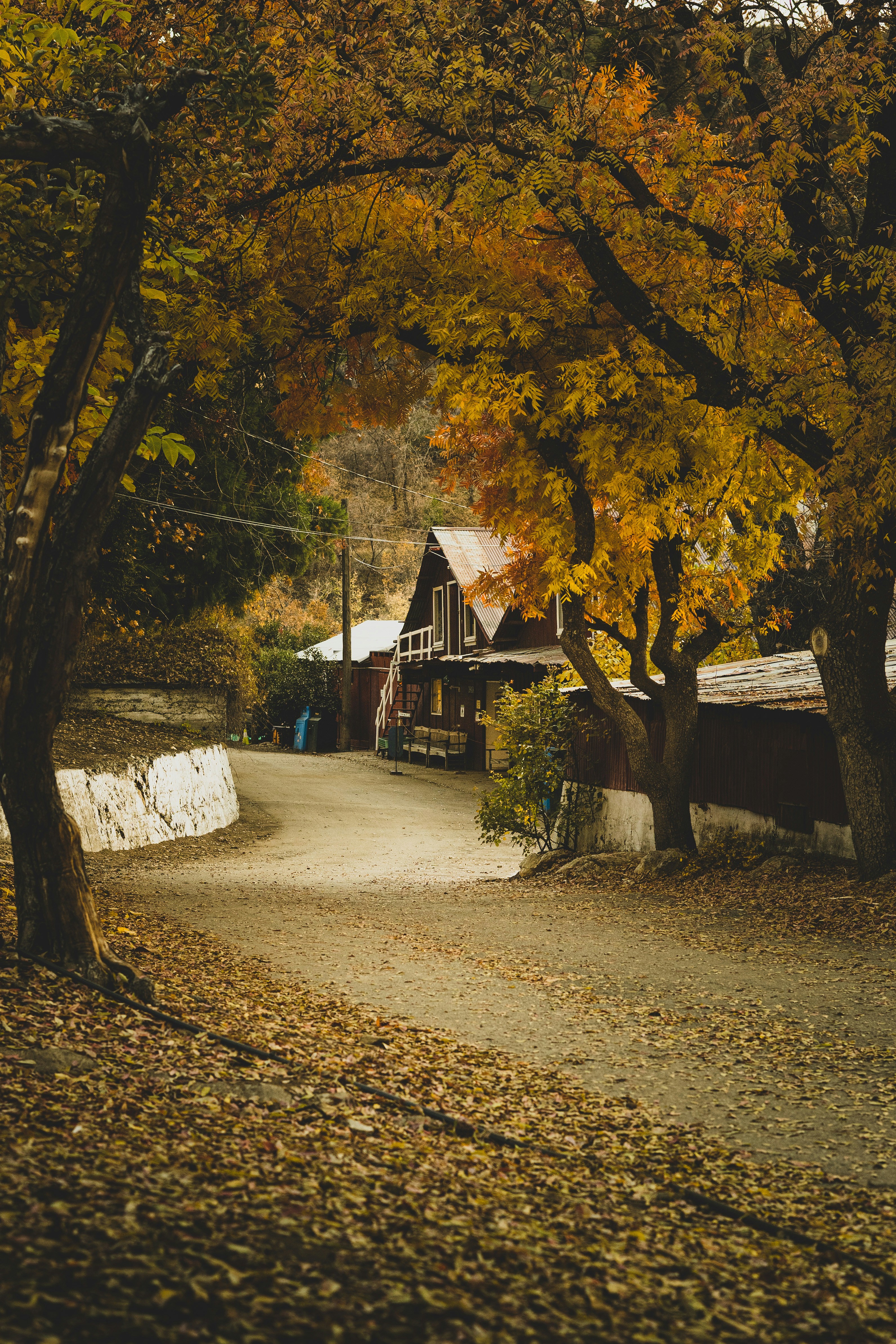 Photo by ikemura
