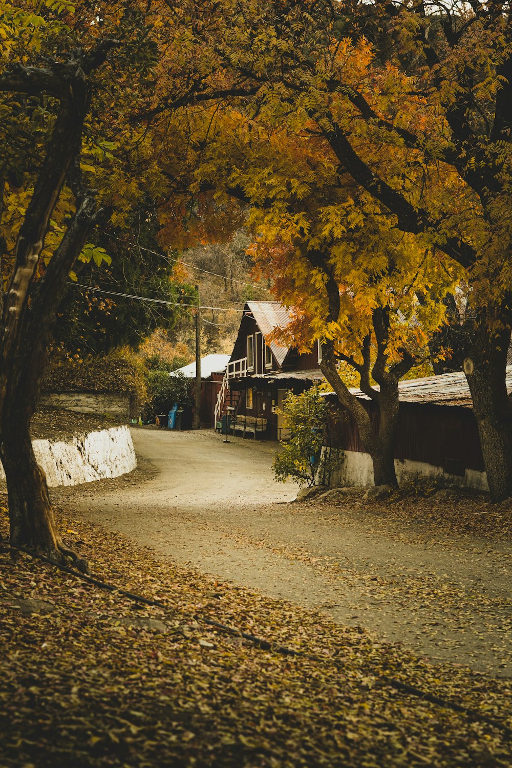 a dirt road with a house in the background