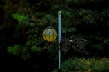 An intricately designed vintage street lamp with a round stained glass top is positioned against a backdrop of dense, dark green foliage. The metalwork is ornate and appears weathered, adding a touch of antiquity to the scene.