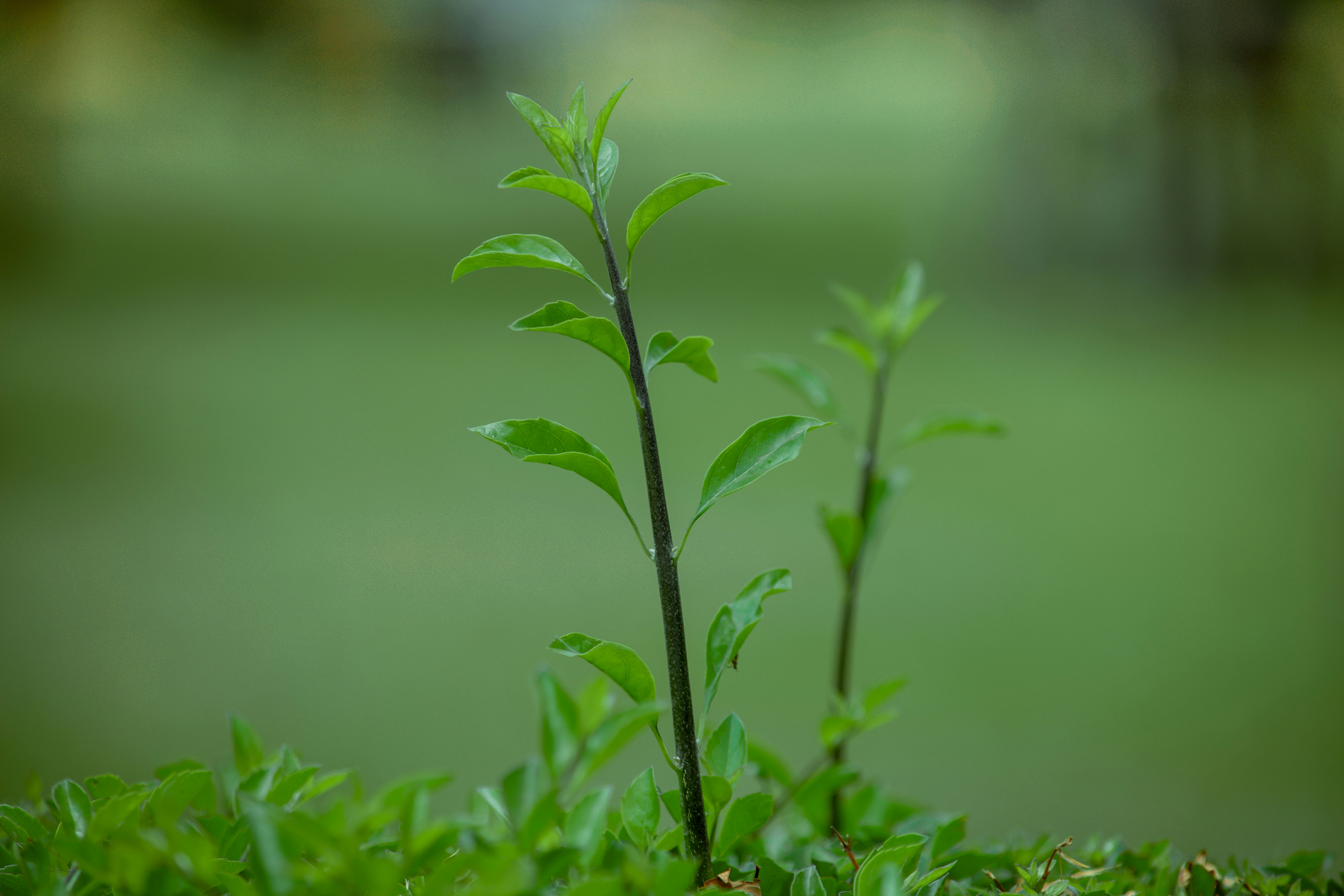 Photo by utunzajiwamazingira