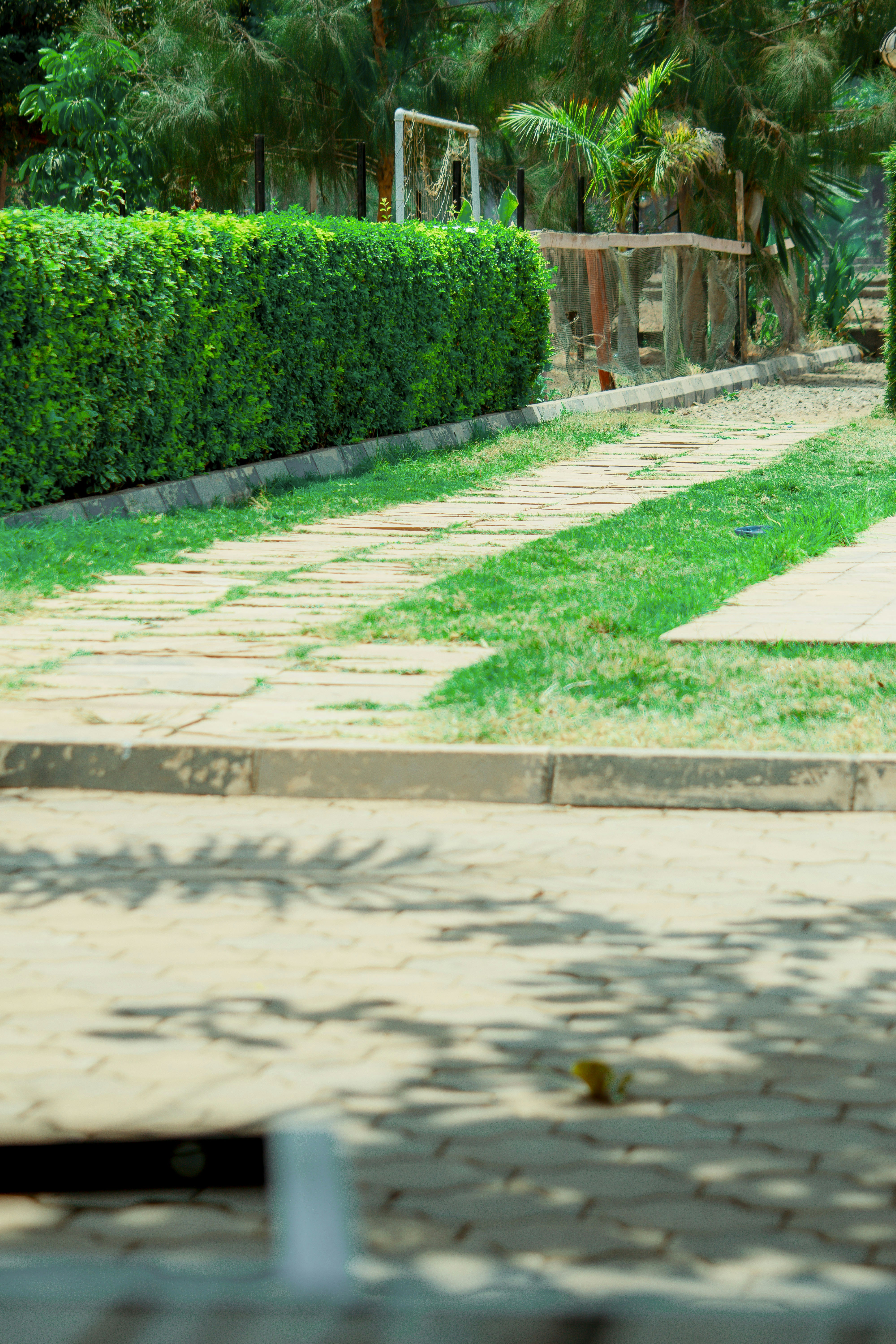 Photo by utunzajiwamazingira