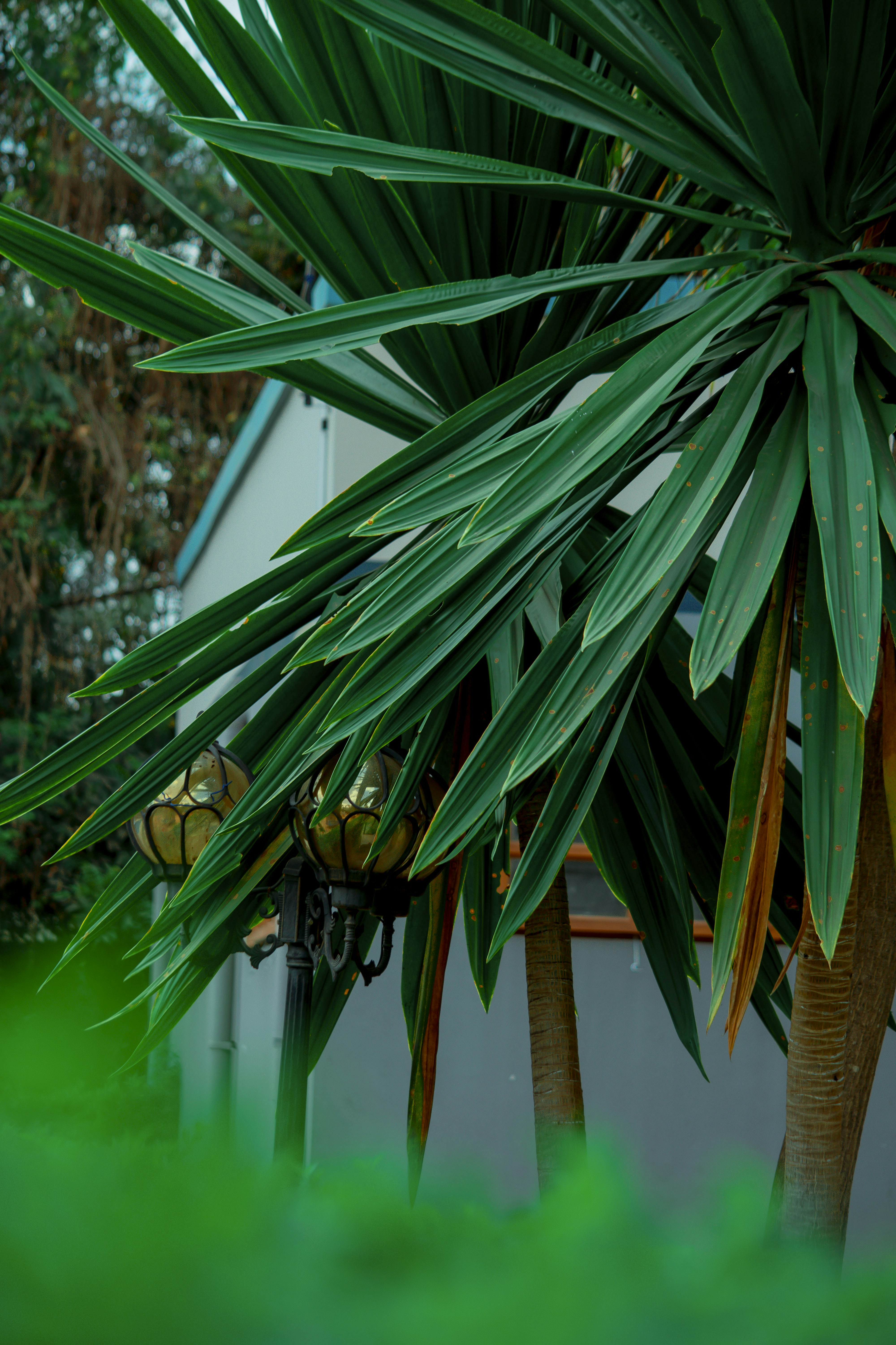 Photo by utunzajiwamazingira