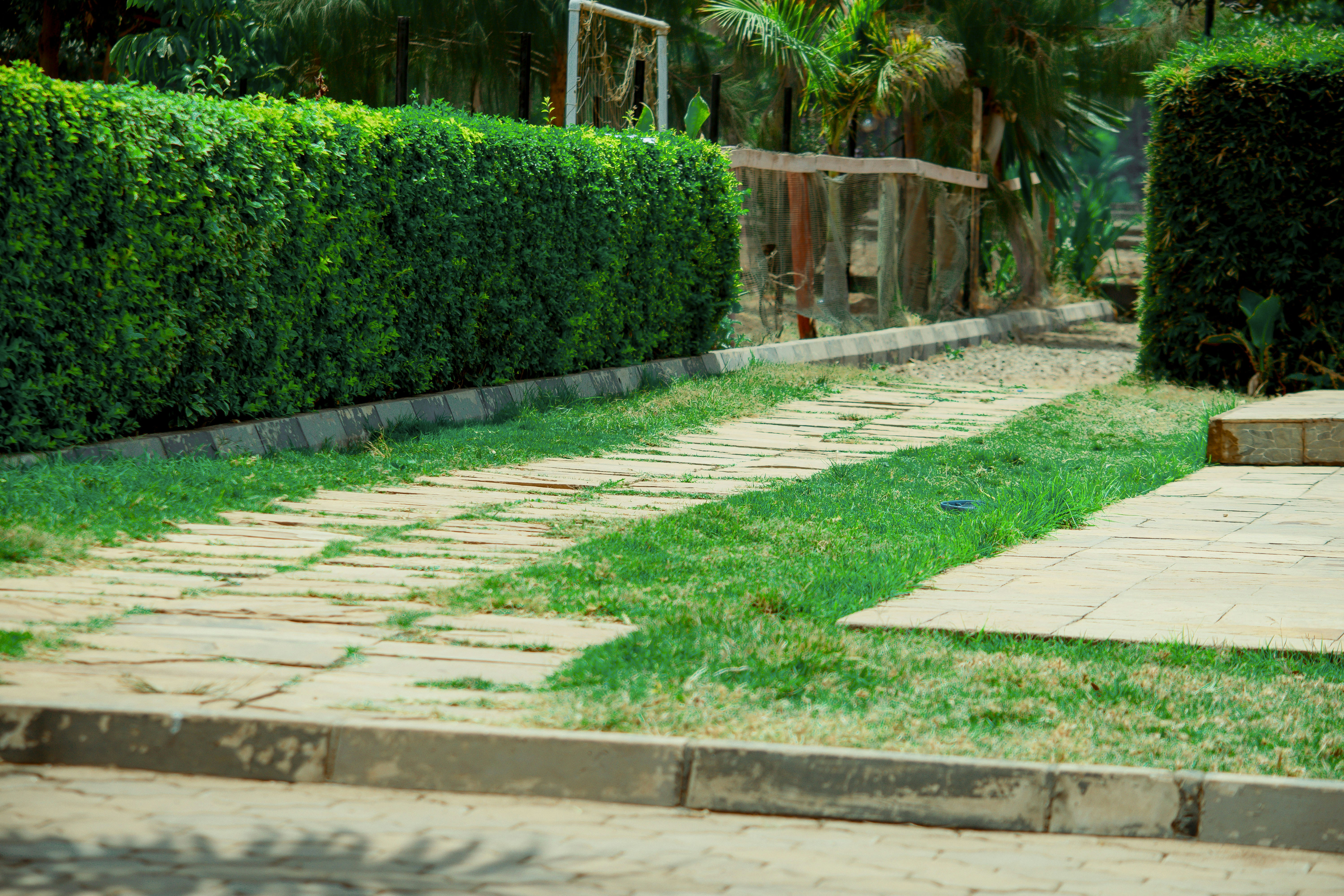 Photo by utunzajiwamazingira