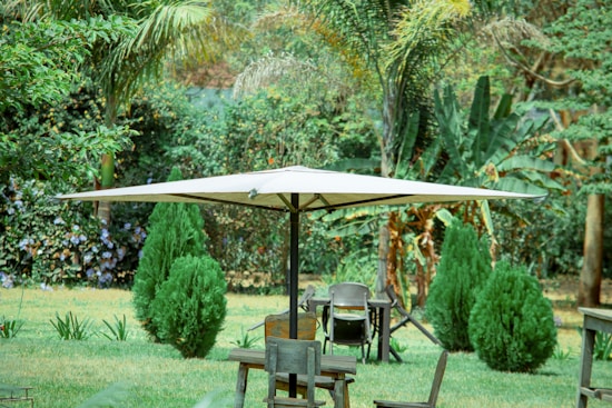 A large patio umbrella provides shade in a lush garden setting. The area is surrounded by tall green trees, trimmed bushes, and a neatly cut grass lawn. Outdoor furniture, including wooden chairs and a table, is arranged under the umbrella. The ambiance is peaceful and natural, with a variety of plants adding to the greenery and tranquility of the scene.