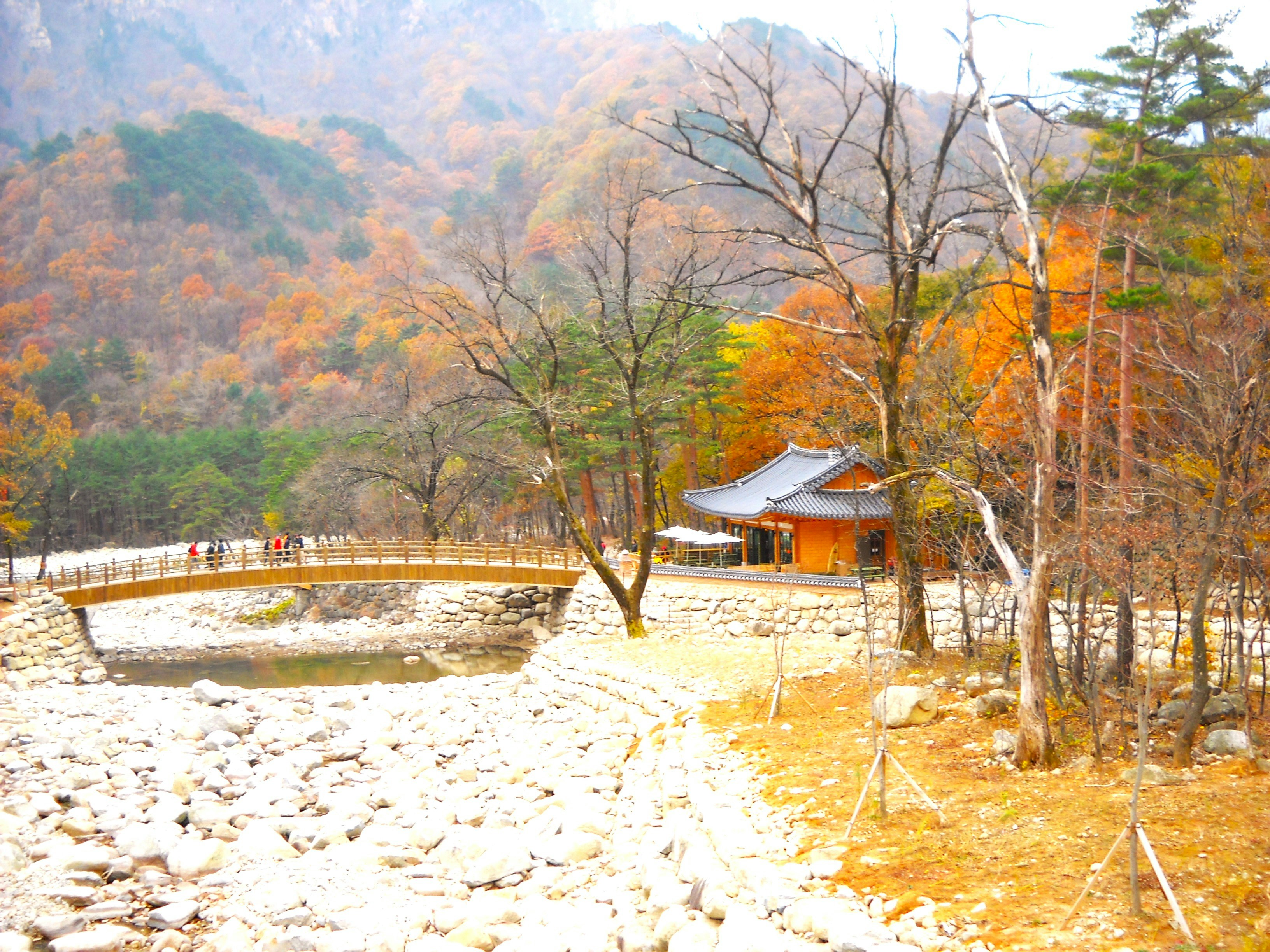 지리산 달궁야영장 가을 단풍 실생활에 도움되는 핵심 키워드 시각화 이미지 - 가독성을 높이는 이미지