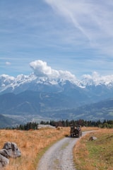 Jeep Willys driving through the scenic Valle de Cocora with towering wax palms.