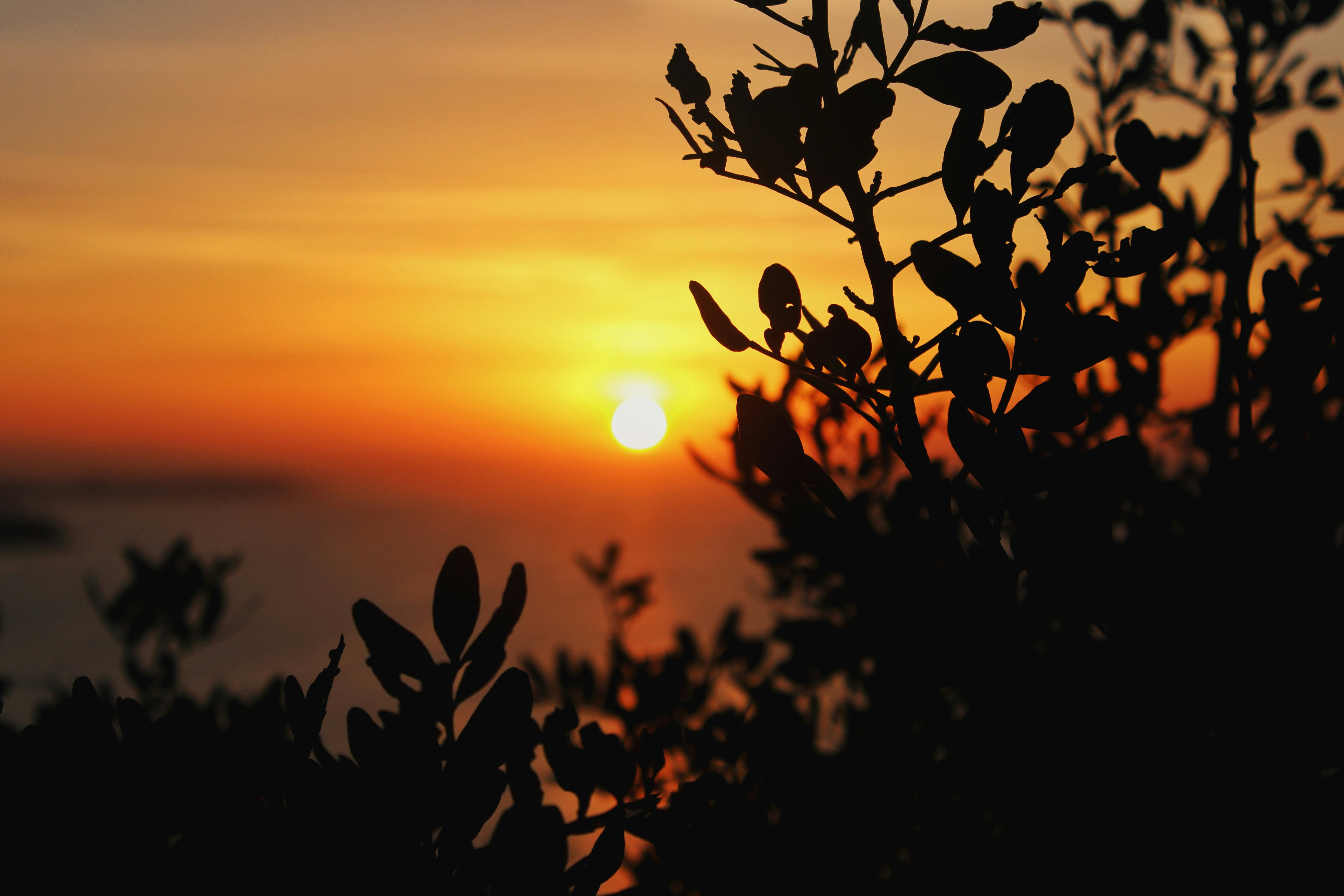 Photo by valeographia