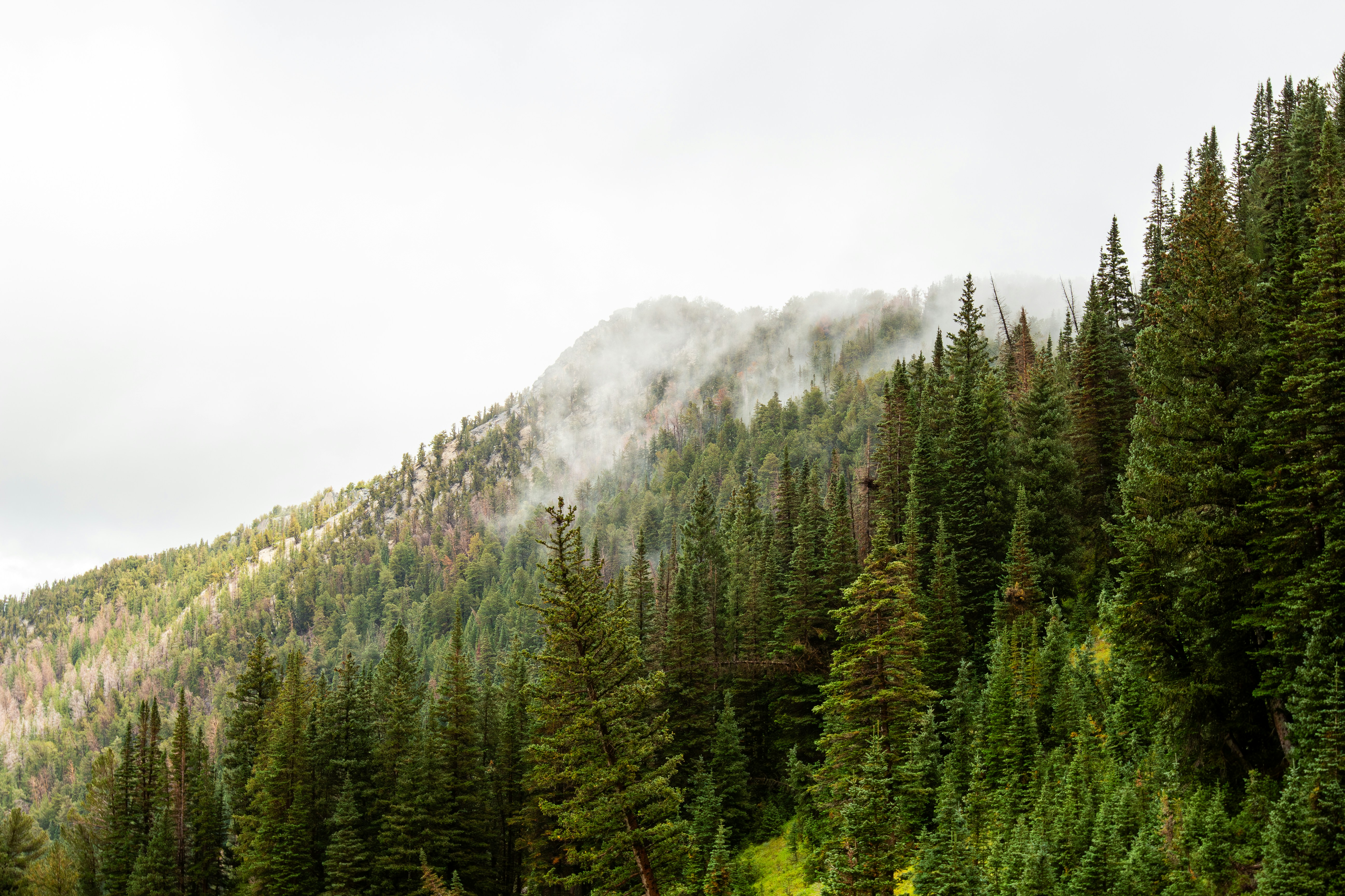 Photo by joshwalker24