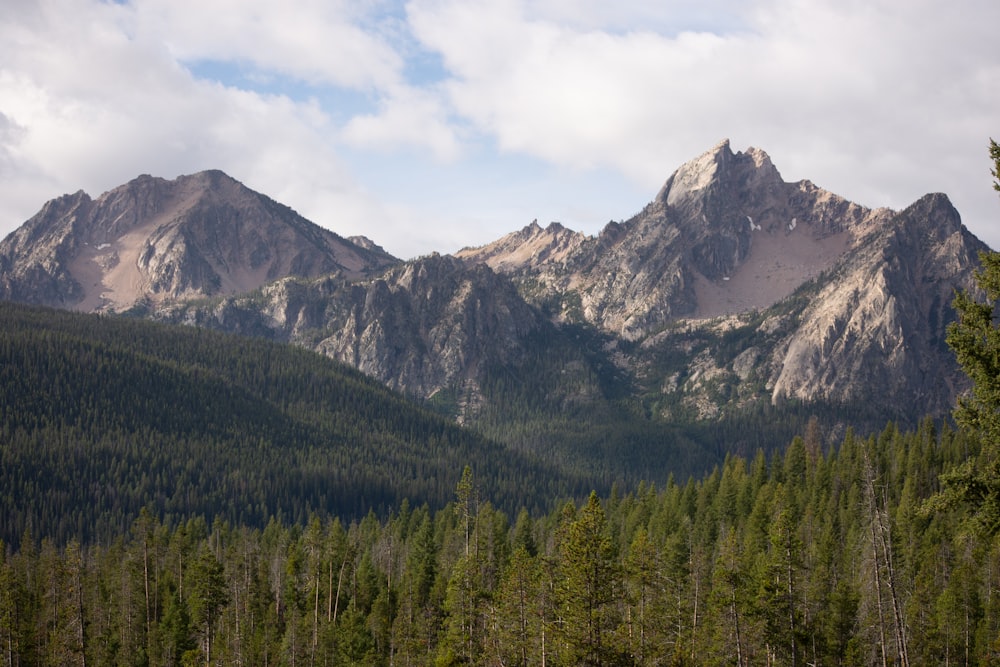 a view of a mountain range with trees in the foreground