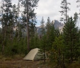 A camping tent is set up in a dense forest with tall pine trees. In the background, there are mountain peaks partially shrouded in clouds.