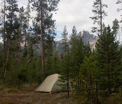 A camping tent is set up in a dense forest with tall pine trees. In the background, there are mountain peaks partially shrouded in clouds.