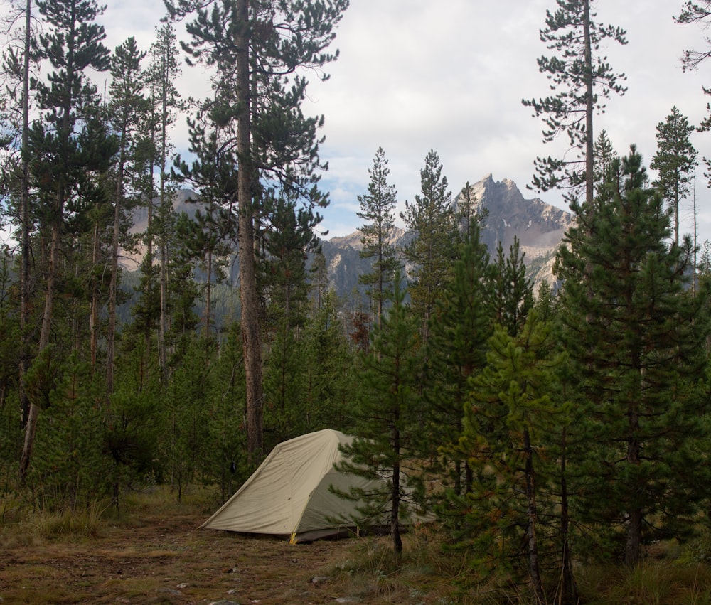 a tent in the middle of a forest with mountains in the background