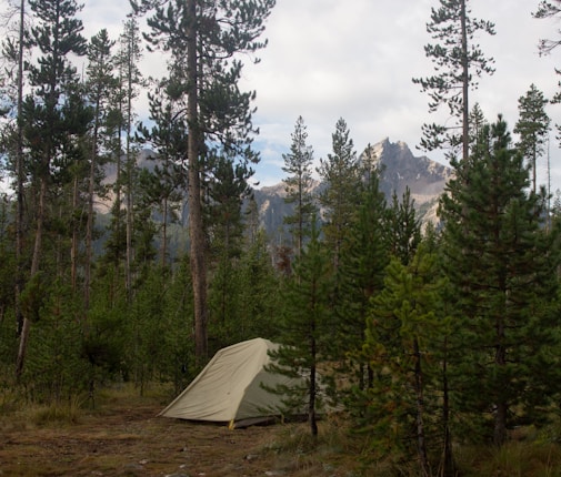 A camping tent is set up in a dense forest with tall pine trees. In the background, there are mountain peaks partially shrouded in clouds.