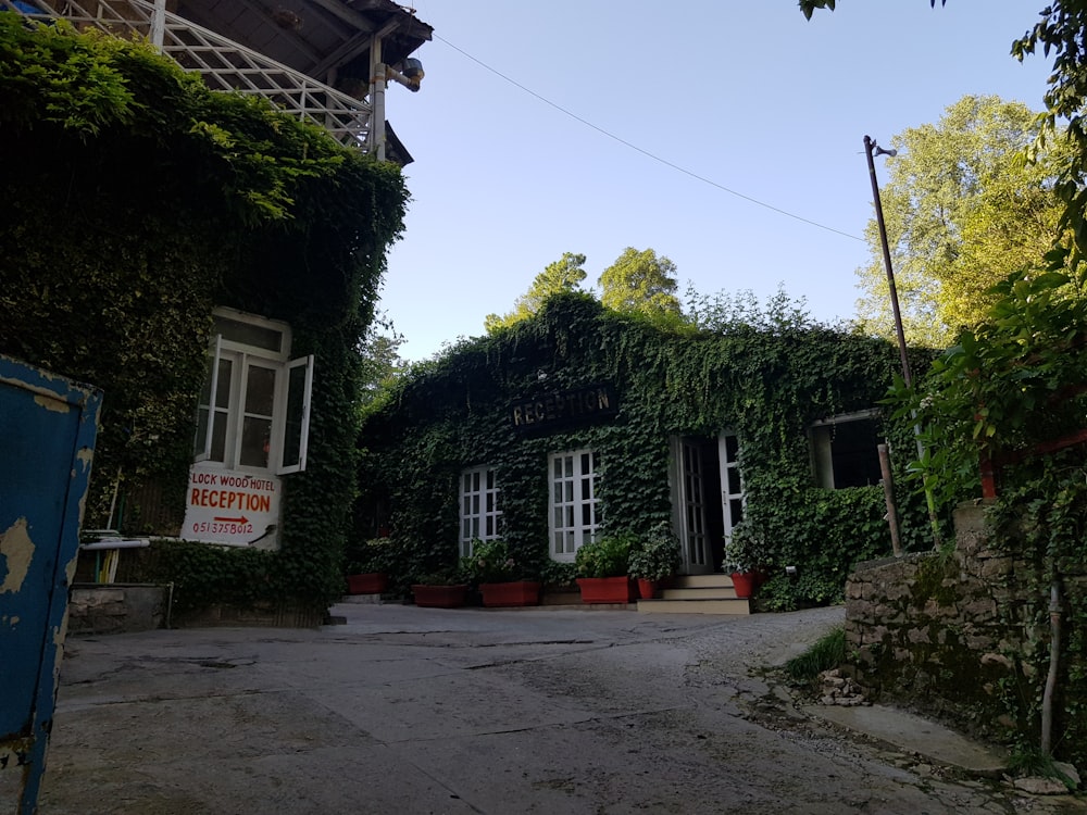 a building covered in vines with a sign in front of it