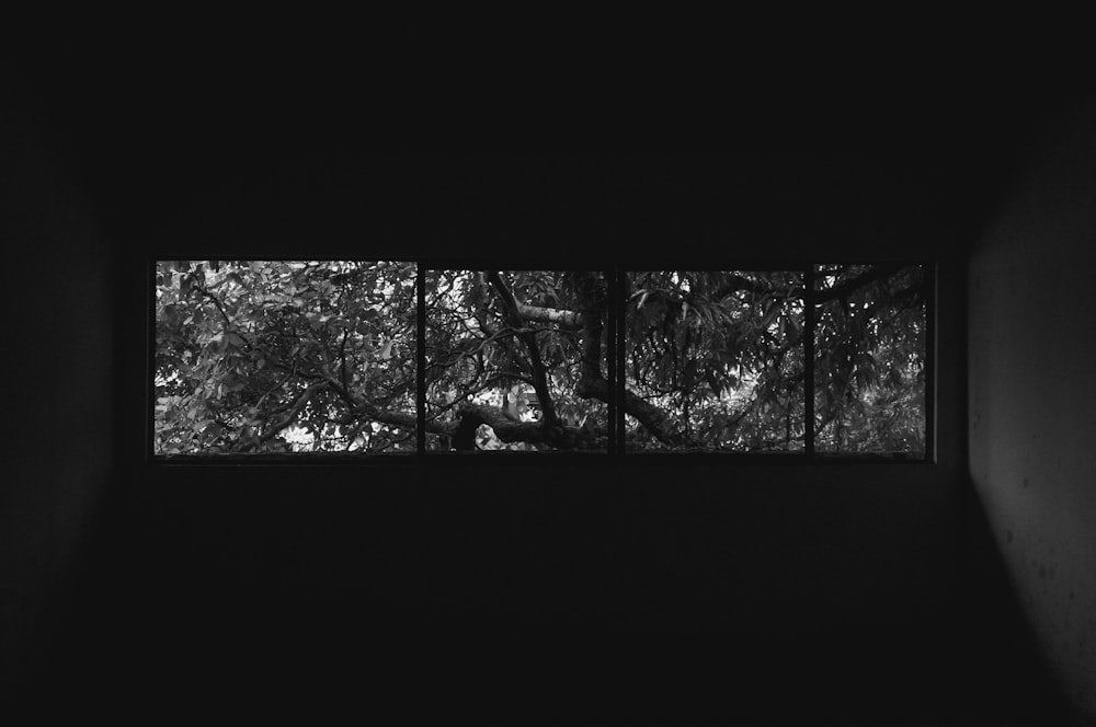 a black and white photo of trees outside a window