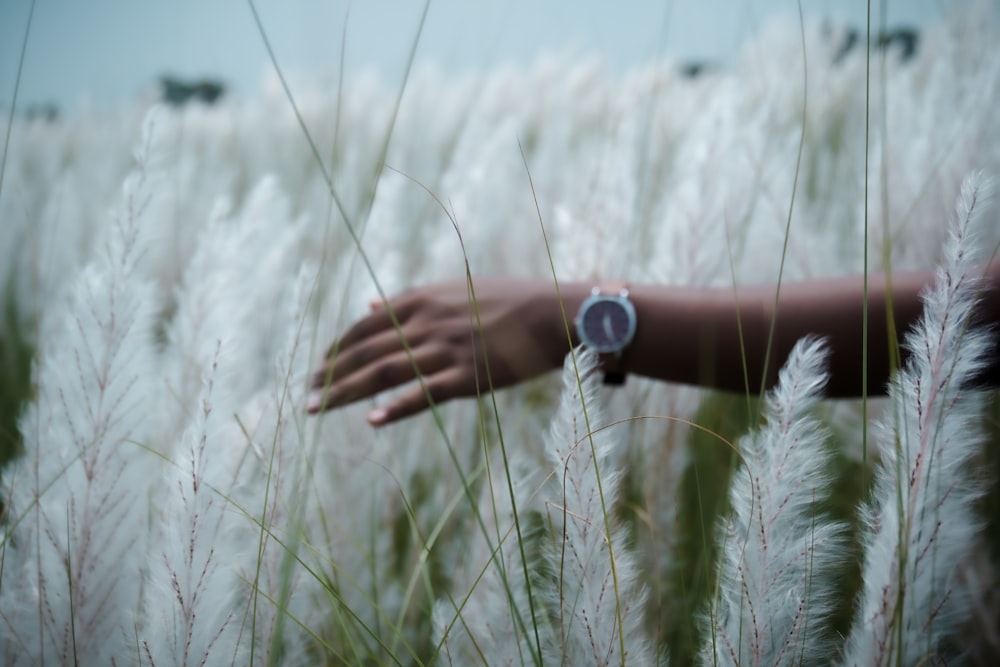 a woman's hand reaching for a watch in a field of tall grass