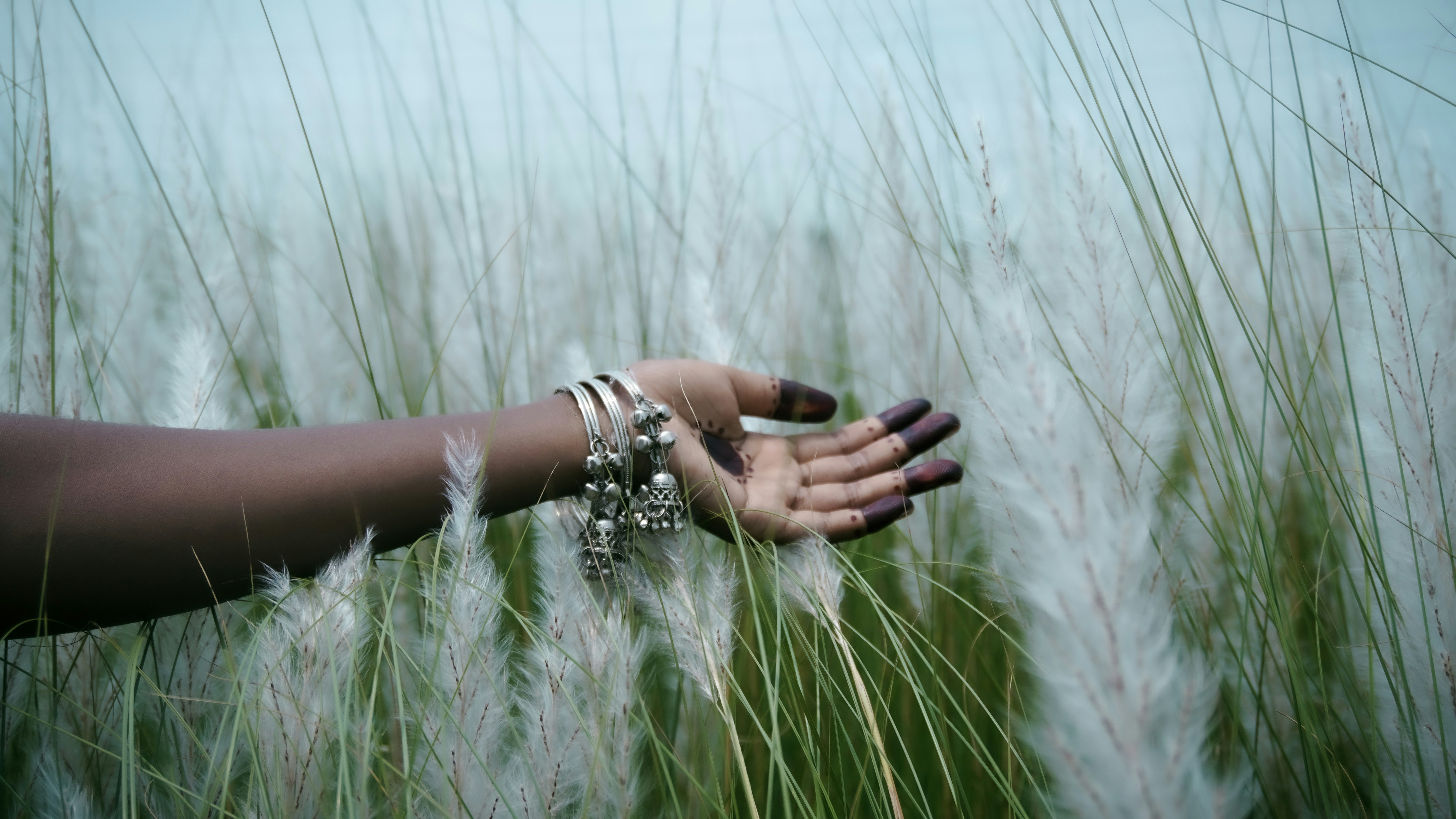 a woman's hand in a field of tall grass