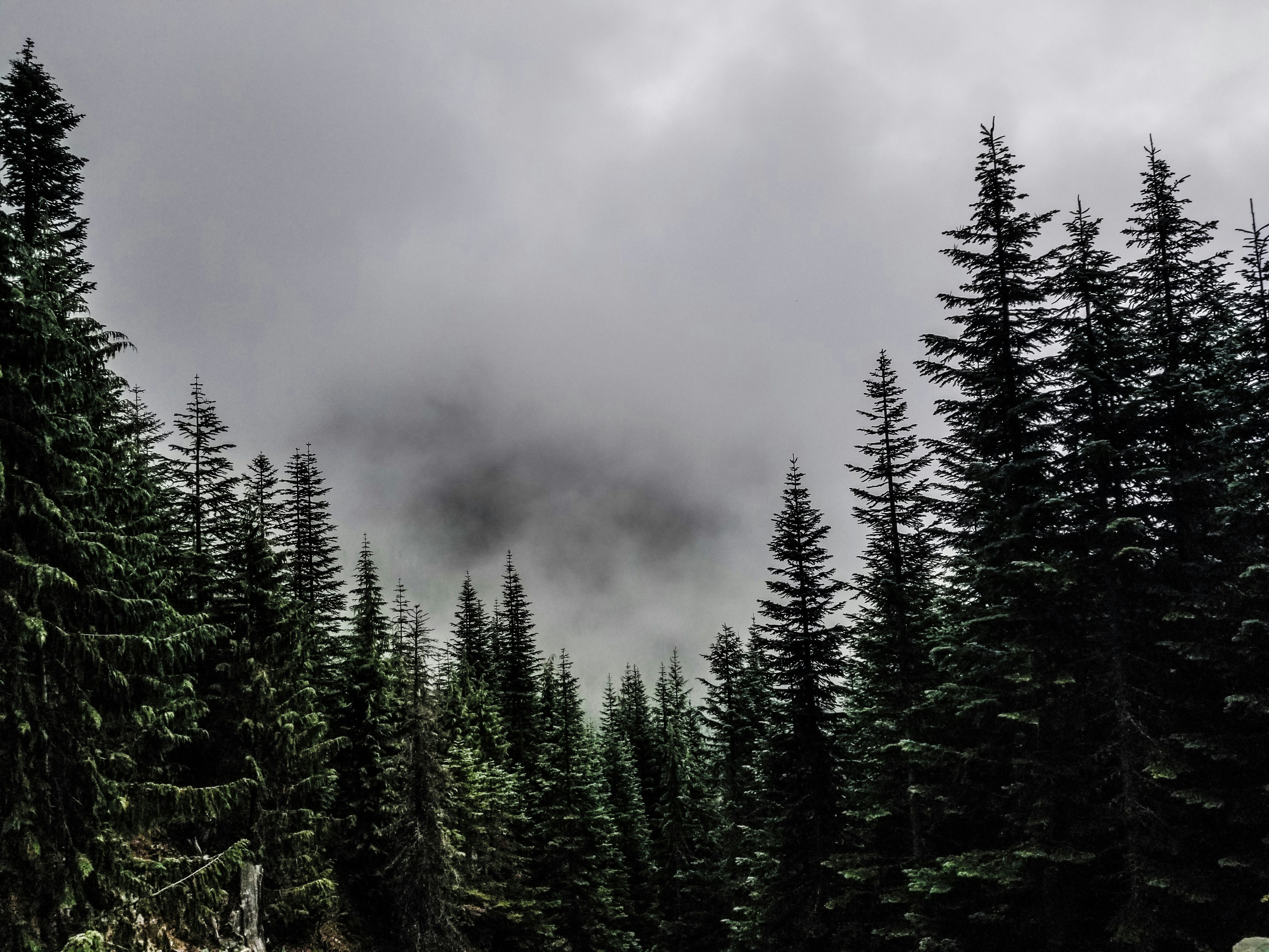 Photo by prphotography262