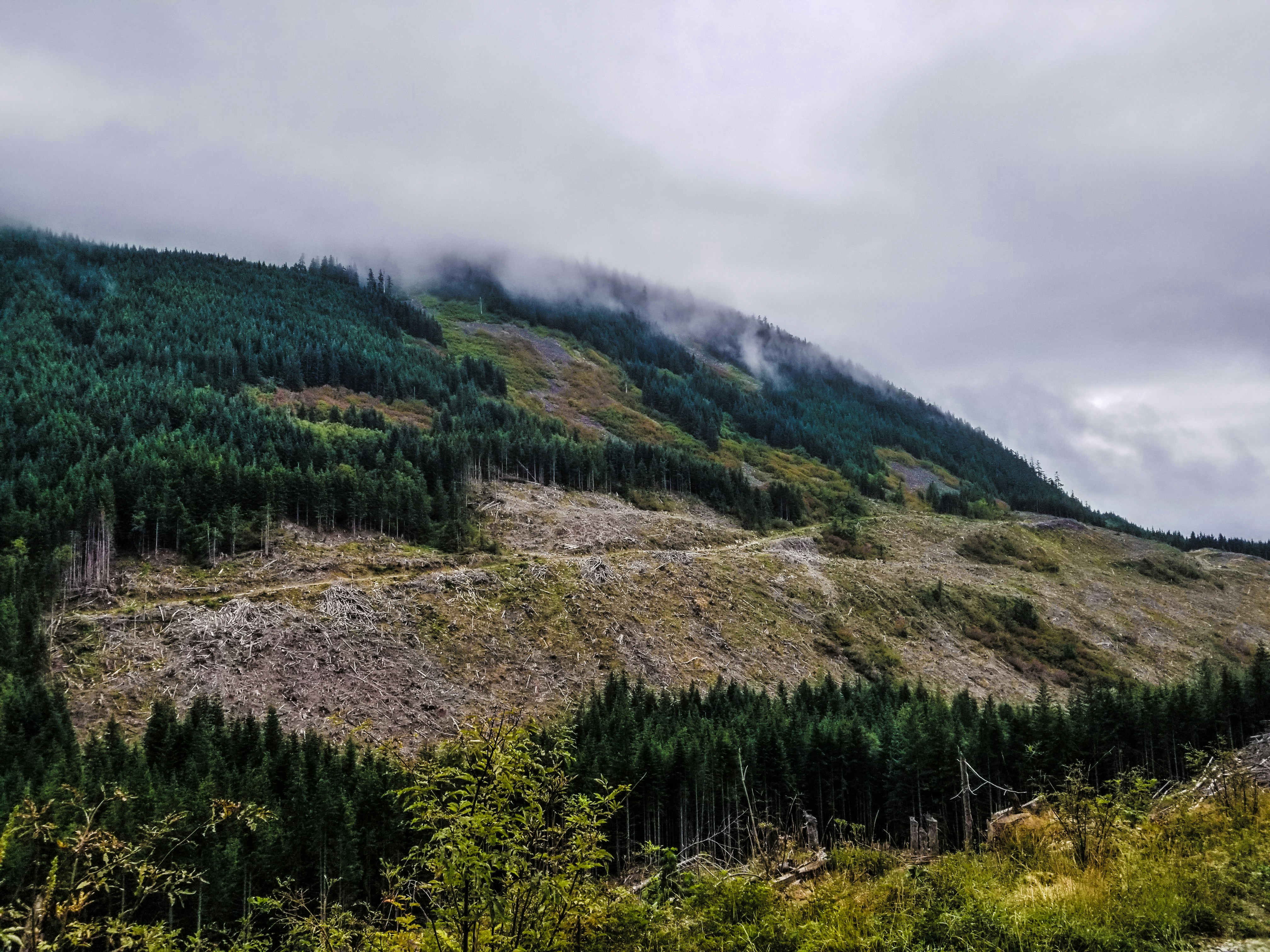 Photo by prphotography262