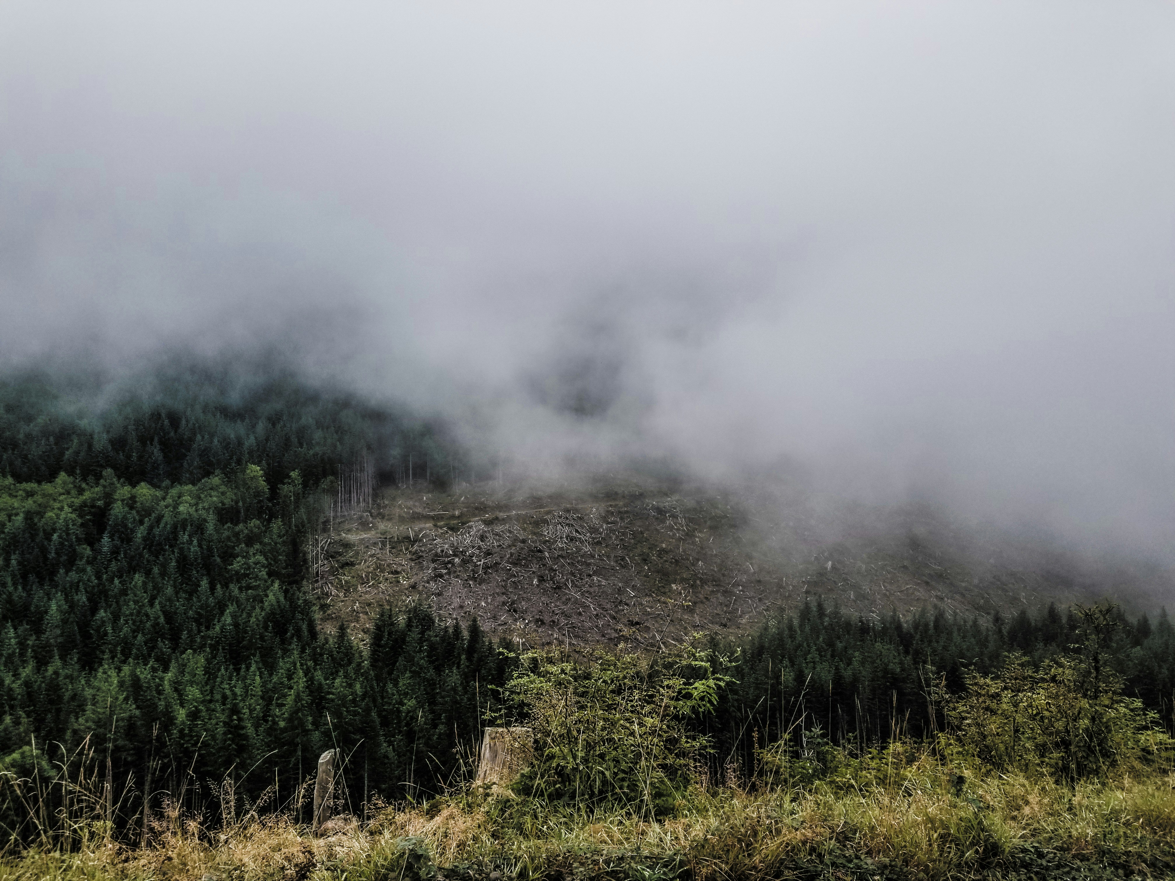 Photo by prphotography262