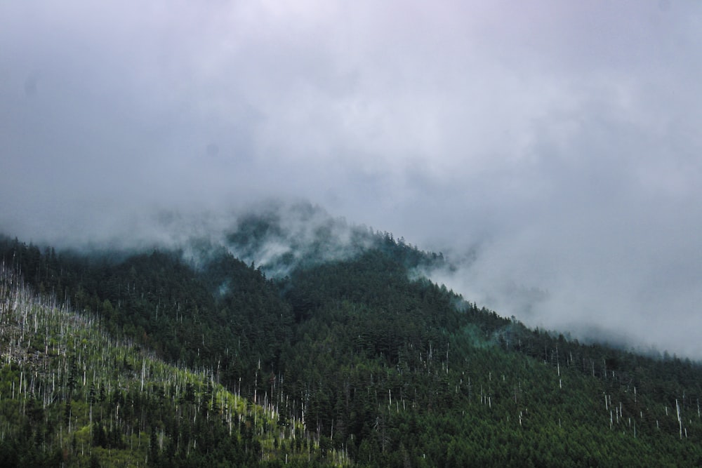 a mountain covered in fog and low lying clouds