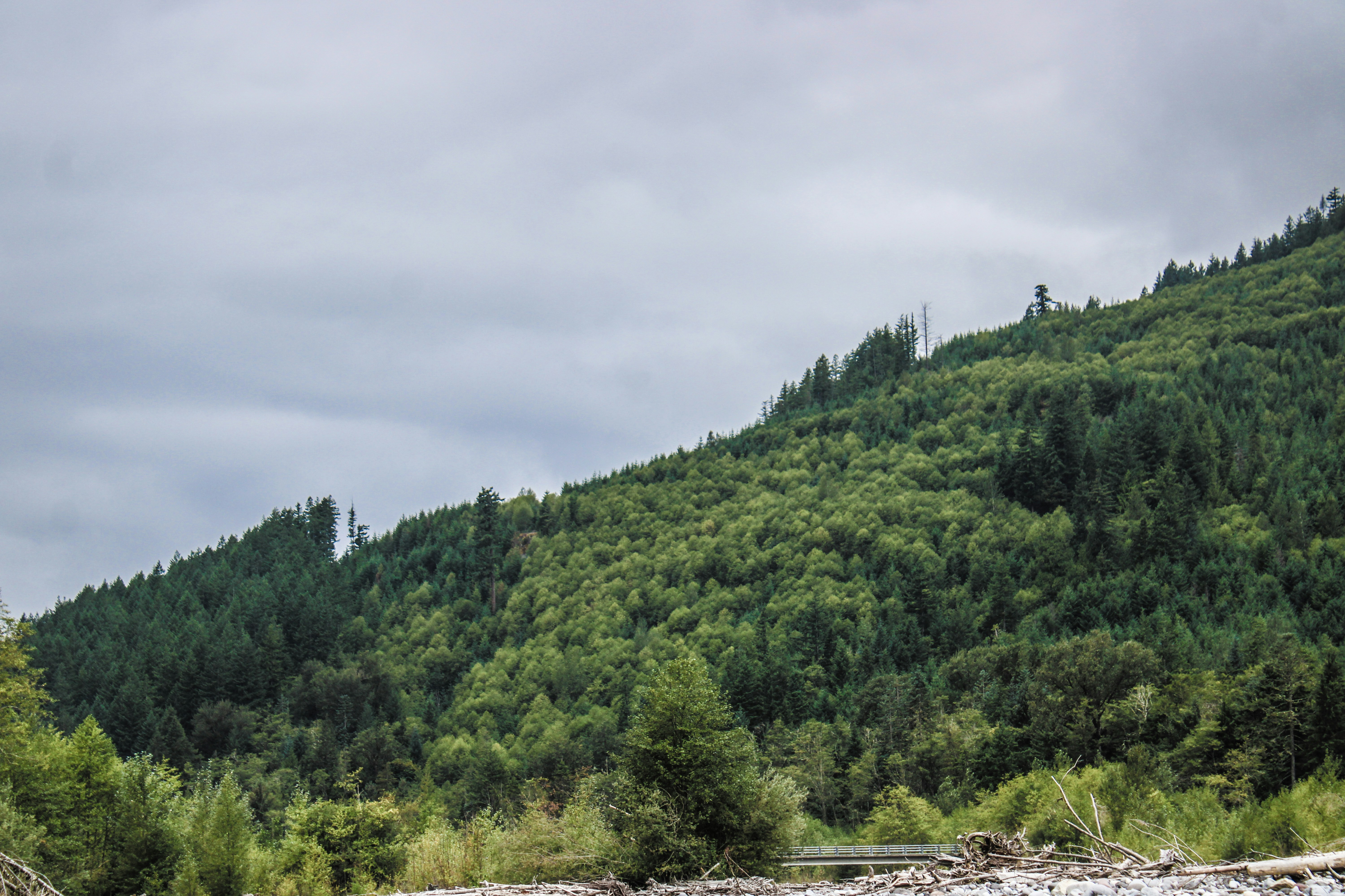 Photo by prphotography262