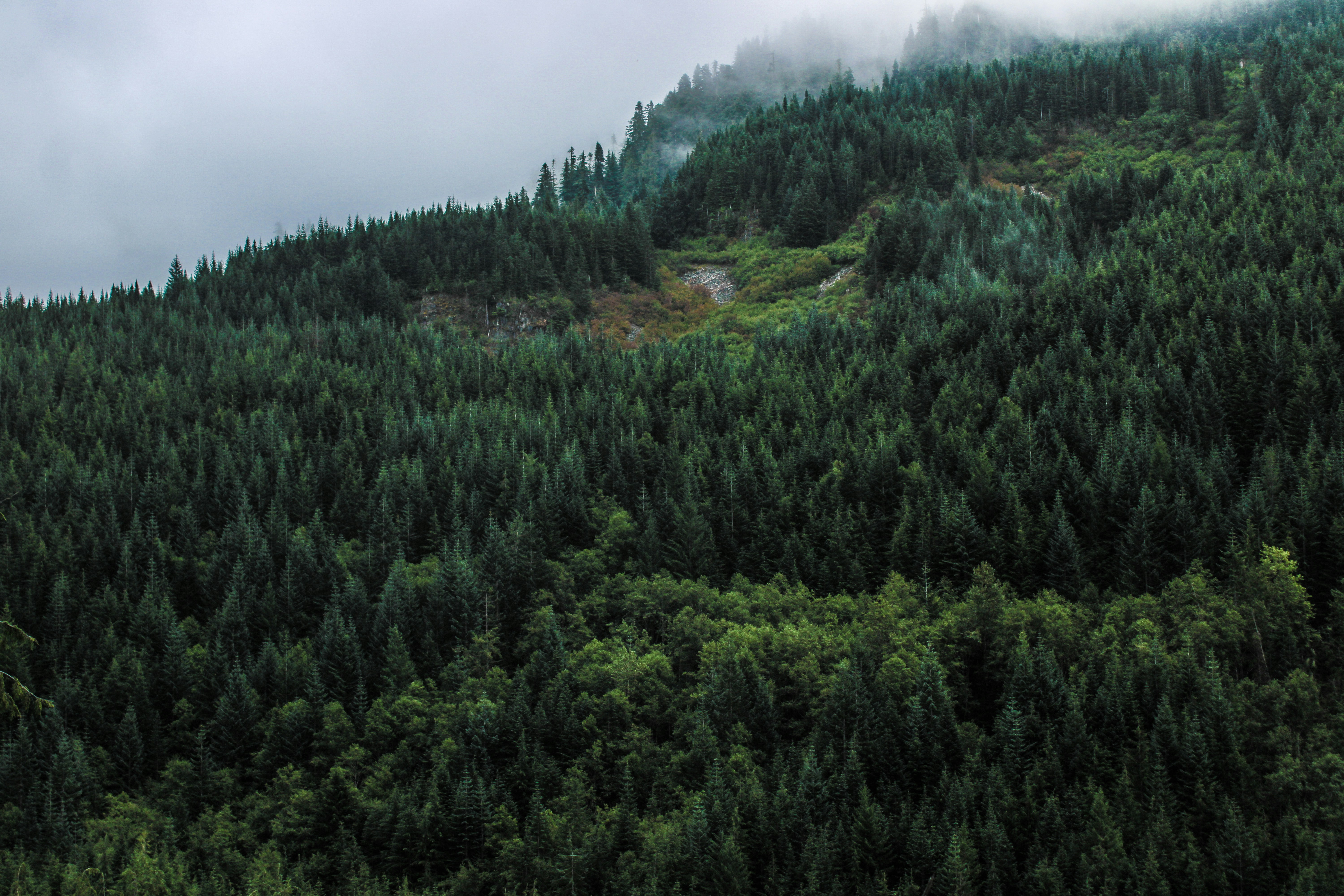 Photo by prphotography262